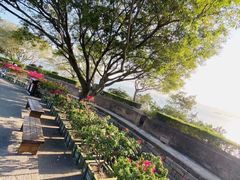 -胡里山炮台