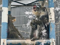 -鄂尔多斯野生动物园