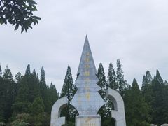 -水杉园