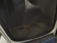-半岛宠物医院24小时(白果林店)