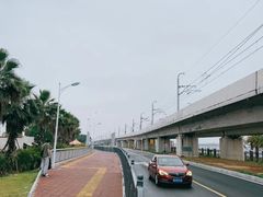 -海堤纪念公园