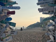 -玫瑰海岸文化旅游度假区