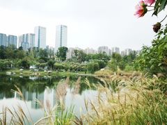 -桂溪生态公园