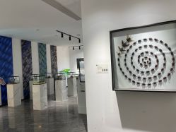 点击看大图 -酷嗒动物文化乐园(cutezoo西溪乐天城店)