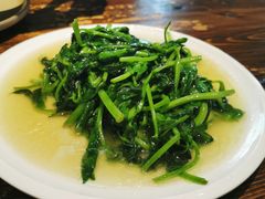清炒豌豆尖-不相离盐帮菜(郎园店)