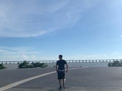 -宝安西湾红树林湿地公园