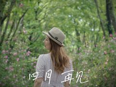 -鹅湖玫瑰文化园