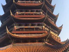 -铁山坪森林公园