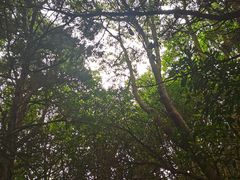 -白马涧龙池景区