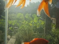-钱王祠