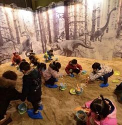 -恐龙探索乐园(磁器口店)