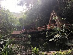 -海南槟榔谷黎苗文化旅游区