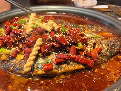 -探鱼·鲜青椒爽麻烤鱼(北京路天河城店)