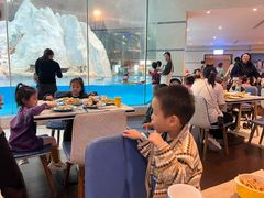 -帝企鹅自助餐厅•儿童岛•真企鹅(长隆企鹅酒店)