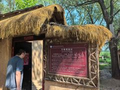 -滕州微山湖红荷湿地景区