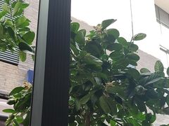 -翡翠鸟精品泰国菜(北辰财富中心店)