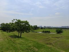 -盘龙城国家考古遗址公园