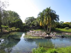 -奥兰多迪士尼动物王国乐园