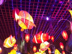 -横店影视城梦幻谷园区