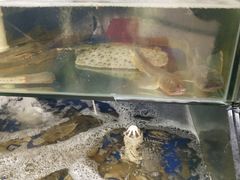 水产区-雅逸居海鲜小厨