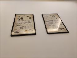 -DEM缔怡美科技美容