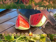 -三水森林公园