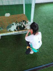 点击看大图 -萌宠亲子动物乐园(槐房万达店)