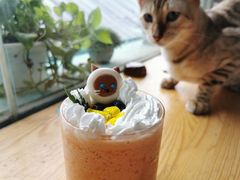 -猫小院猫主题咖啡厅(北锣店)
