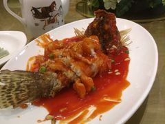 松鼠桂鱼-金时代顺风大酒店(协泰店)