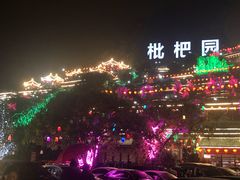 -枇杷园食为鲜火锅(南山店)