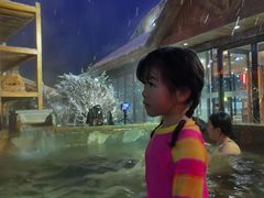 -汉拿山温泉度假酒店