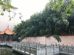 -金孔雀温泉旅游度假村