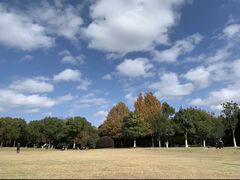-上海吴淞炮台湾国家湿地公园