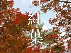 -广州市帽峰山景区