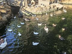 -北京世界公园