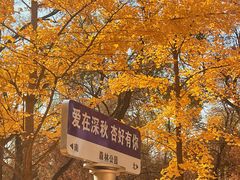 -森林公园(尖草坪区)