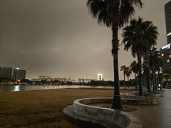 -金沙湖公园