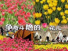 -河南宝泉旅游区