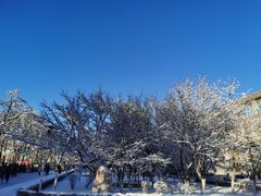 -辽宁大学(崇山校区)
