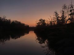 -白鹭湾湿地公园