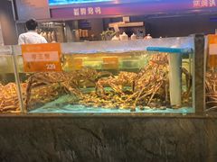 -国惠大酒楼(仓山万达店)