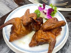 -鸽鸟轩(石岐店)