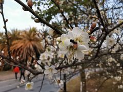 -水濂山水库景点停车场