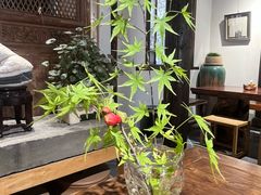 -月栖华明-云间草堂清茶馆(泗泾古镇店)