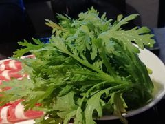 -锅说大脸毛肚重庆老火锅(佐阾店)
