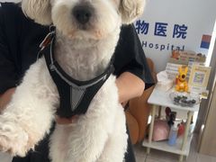 -申普宠物医院·眼科·心内科·影像科(普陀分院)