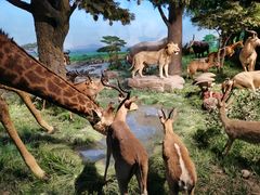 -国家自然博物馆