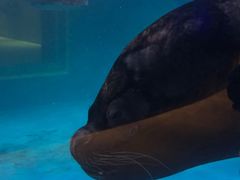-青岛海底世界-水族馆