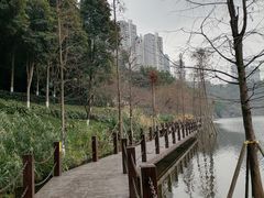 -重庆彩云湖湿地公园