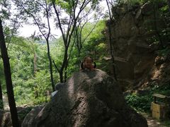 -大岭沟猕猴桃谷风景区